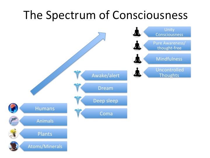 our-models-of-consciousness-how-they-shape-our-reality-marjorie