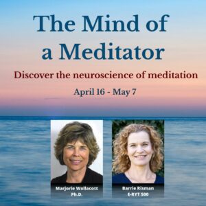 The Mind of a Meditator: Discover the Neuroscience of Meditation Dr. Marjorie Woollacott and Barrie Risman