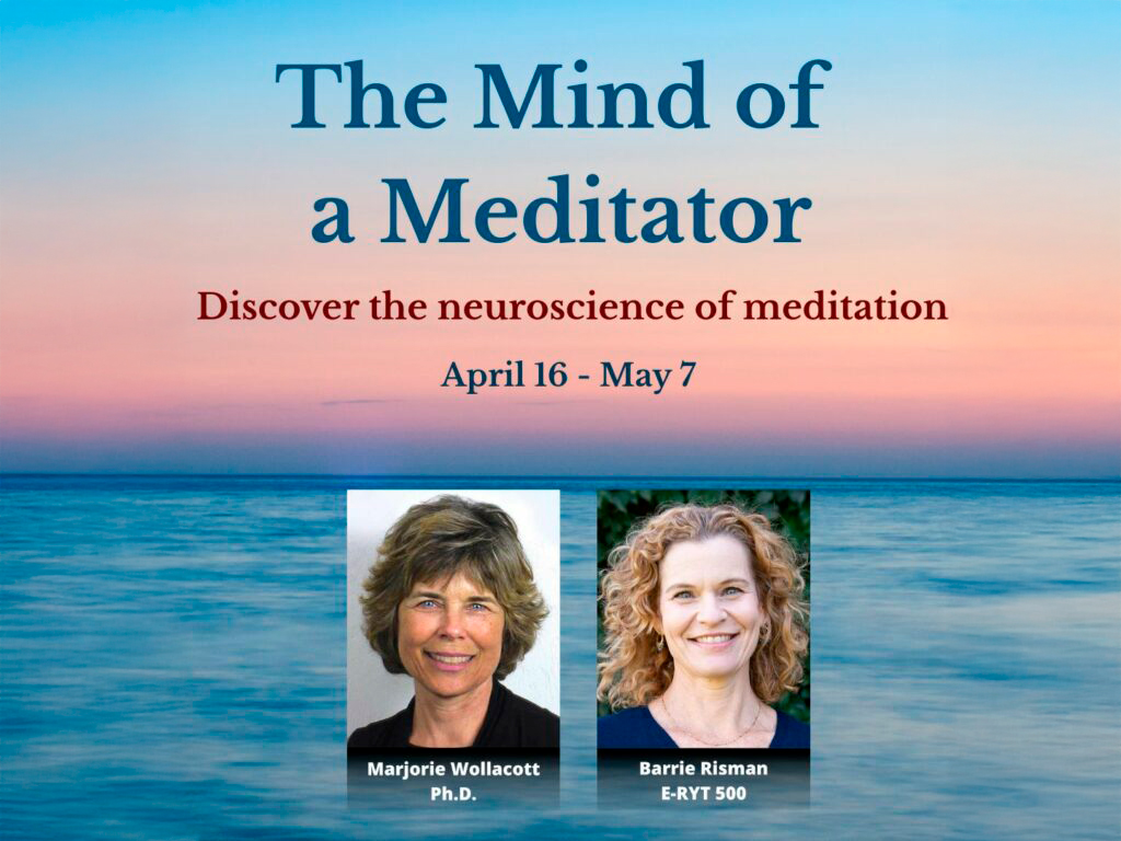The Mind of a Meditator: Discover the Neuroscience of Meditation Dr. Marjorie Woollacott and Barrie Risman
