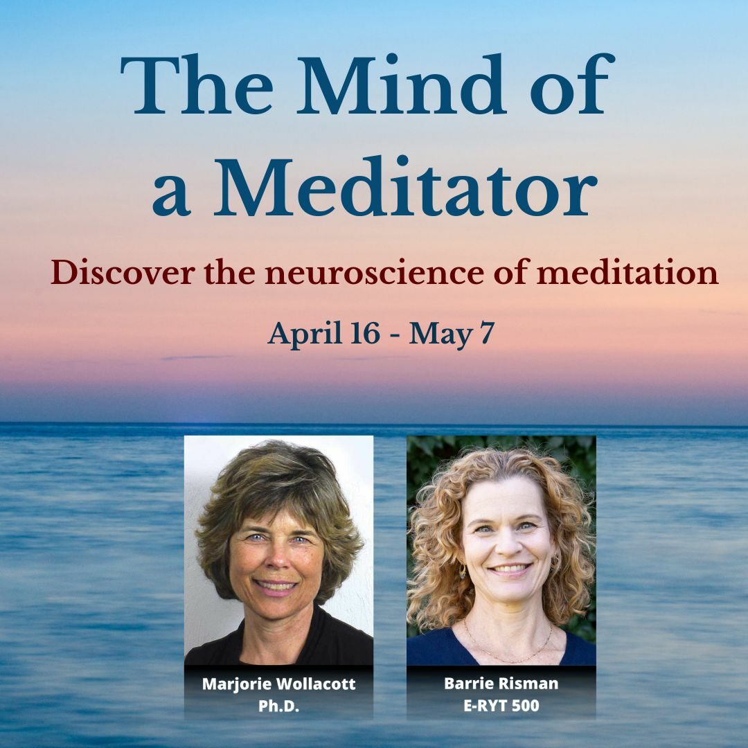 The Mind of a Meditator: Discover the Neuroscience of Meditation Dr. Marjorie Woollacott and Barrie Risman
